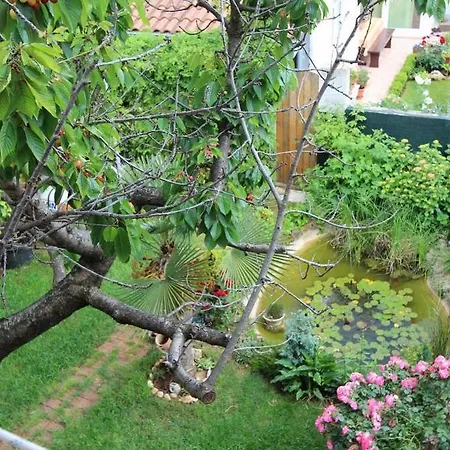 Lovely Family House Robi 3*